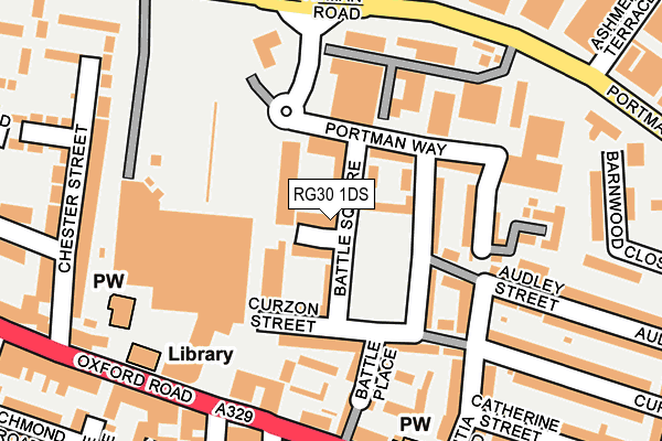 RG30 1DS map - OS OpenMap – Local (Ordnance Survey)
