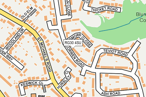 RG30 4SU map - OS OpenMap – Local (Ordnance Survey)