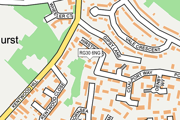 RG30 6NG map - OS OpenMap – Local (Ordnance Survey)