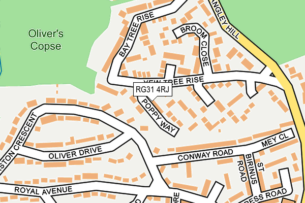 RG31 4RJ map - OS OpenMap – Local (Ordnance Survey)