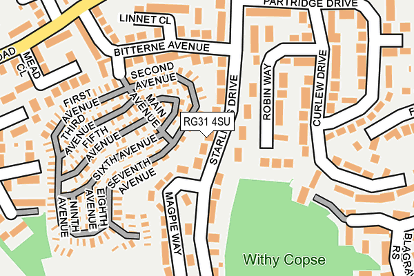 RG31 4SU map - OS OpenMap – Local (Ordnance Survey)