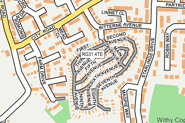 RG31 4TE map - OS OpenMap – Local (Ordnance Survey)