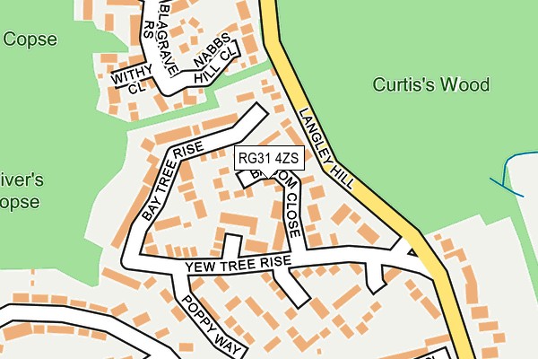 RG31 4ZS map - OS OpenMap – Local (Ordnance Survey)