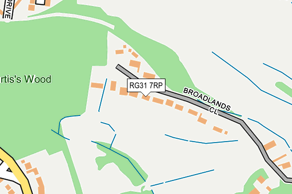 RG31 7RP map - OS OpenMap – Local (Ordnance Survey)