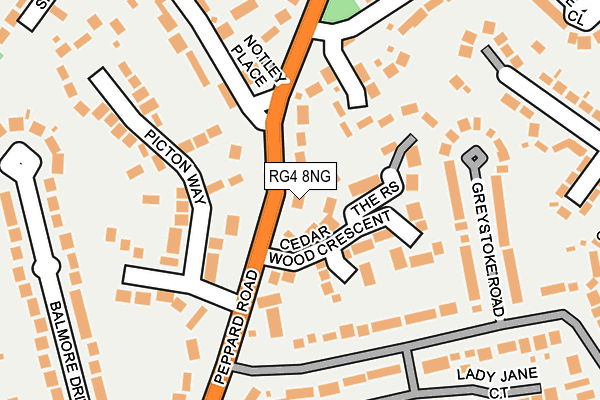 RG4 8NG map - OS OpenMap – Local (Ordnance Survey)