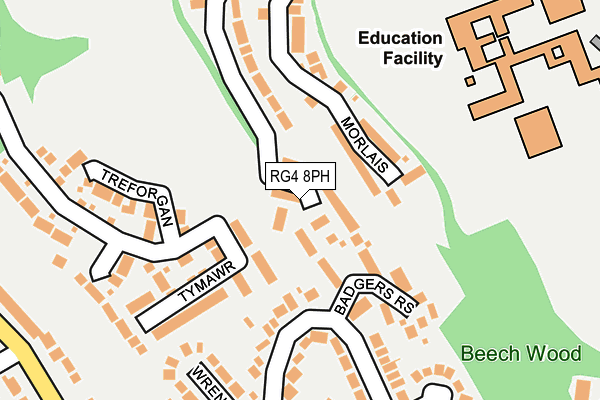 RG4 8PH map - OS OpenMap – Local (Ordnance Survey)