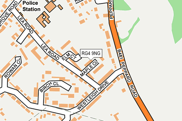 RG4 9NG map - OS OpenMap – Local (Ordnance Survey)