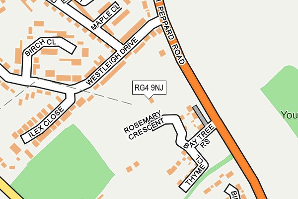 RG4 9NJ map - OS OpenMap – Local (Ordnance Survey)