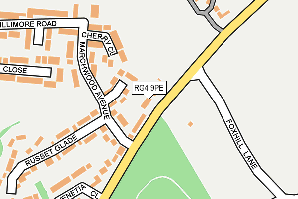 RG4 9PE map - OS OpenMap – Local (Ordnance Survey)