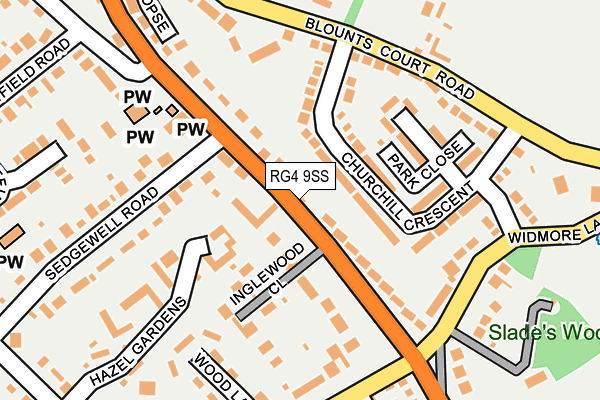 RG4 9SS map - OS OpenMap – Local (Ordnance Survey)