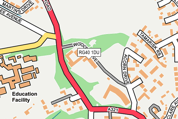 RG40 1DU map - OS OpenMap – Local (Ordnance Survey)