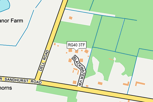 RG40 3TF map - OS OpenMap – Local (Ordnance Survey)