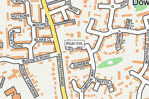 RG40 5YA map - OS OpenMap – Local (Ordnance Survey)