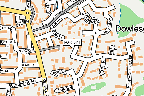 RG40 5YH map - OS OpenMap – Local (Ordnance Survey)