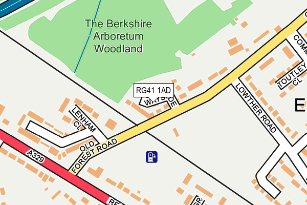 RG41 1AD map - OS OpenMap – Local (Ordnance Survey)