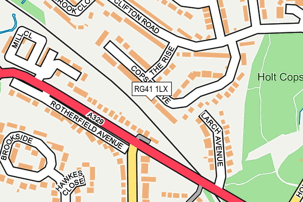 RG41 1LX map - OS OpenMap – Local (Ordnance Survey)