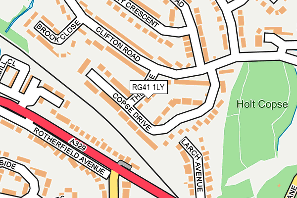 RG41 1LY map - OS OpenMap – Local (Ordnance Survey)