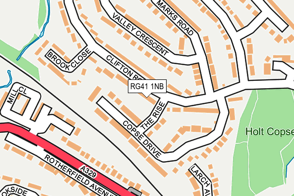 RG41 1NB map - OS OpenMap – Local (Ordnance Survey)