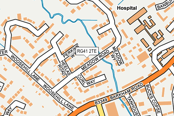 RG41 2TE map - OS OpenMap – Local (Ordnance Survey)