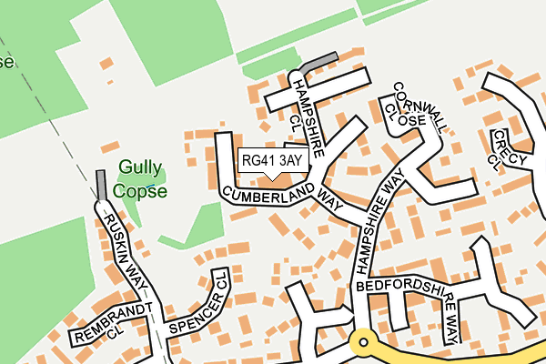RG41 3AY map - OS OpenMap – Local (Ordnance Survey)