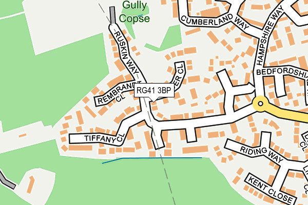 RG41 3BP map - OS OpenMap – Local (Ordnance Survey)