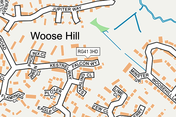 RG41 3HD map - OS OpenMap – Local (Ordnance Survey)