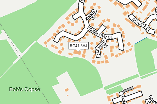 RG41 3HJ map - OS OpenMap – Local (Ordnance Survey)