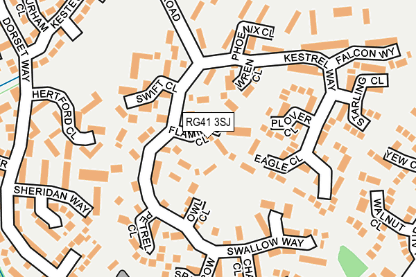 RG41 3SJ map - OS OpenMap – Local (Ordnance Survey)
