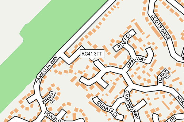 RG41 3TT map - OS OpenMap – Local (Ordnance Survey)