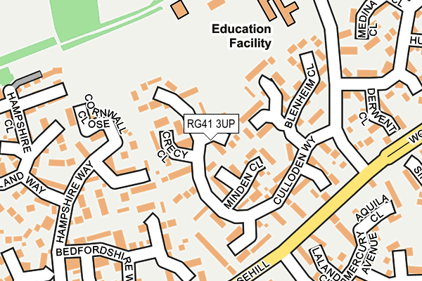 RG41 3UP map - OS OpenMap – Local (Ordnance Survey)