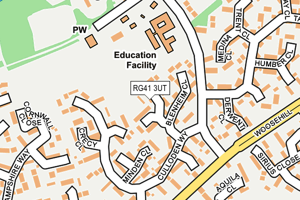 RG41 3UT map - OS OpenMap – Local (Ordnance Survey)