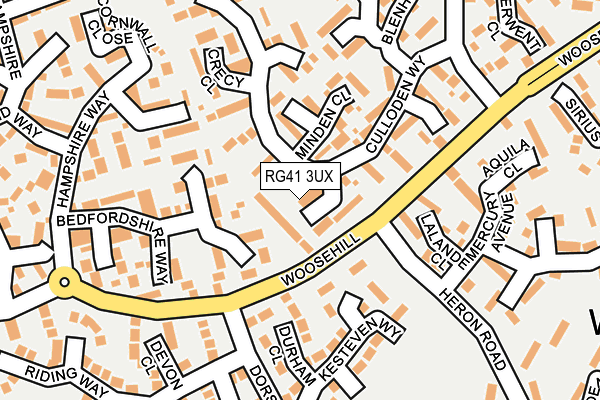 RG41 3UX map - OS OpenMap – Local (Ordnance Survey)