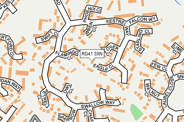RG41 3XN map - OS OpenMap – Local (Ordnance Survey)