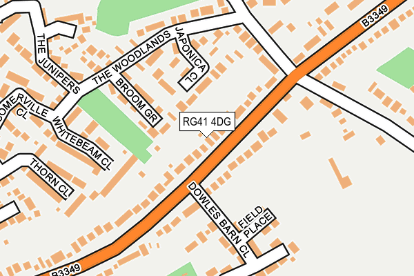 RG41 4DG map - OS OpenMap – Local (Ordnance Survey)