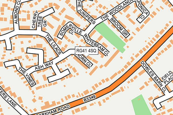 RG41 4SQ map - OS OpenMap – Local (Ordnance Survey)