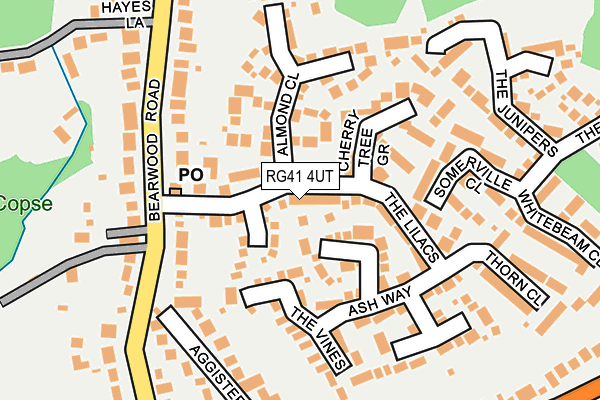 RG41 4UT map - OS OpenMap – Local (Ordnance Survey)