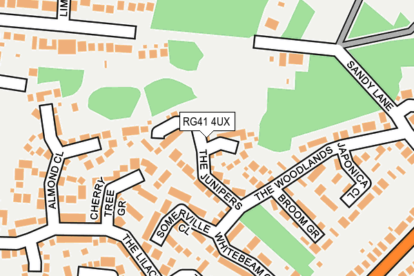 RG41 4UX map - OS OpenMap – Local (Ordnance Survey)