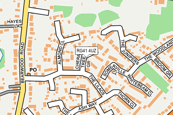 RG41 4UZ map - OS OpenMap – Local (Ordnance Survey)