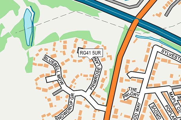 RG41 5UR map - OS OpenMap – Local (Ordnance Survey)