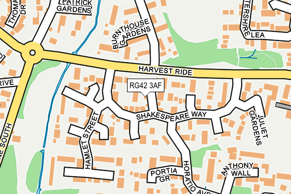RG42 3AF map - OS OpenMap – Local (Ordnance Survey)
