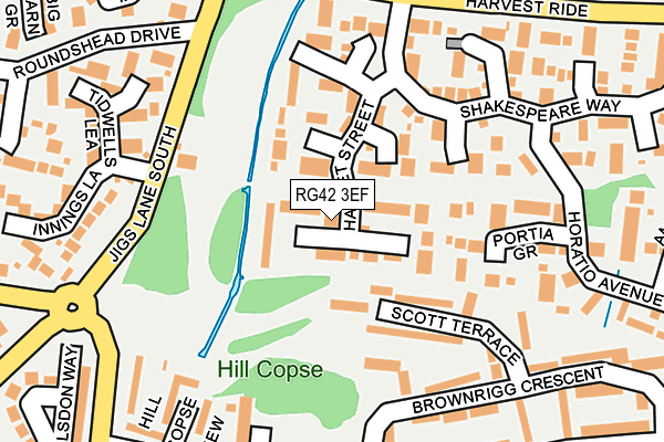 RG42 3EF map - OS OpenMap – Local (Ordnance Survey)