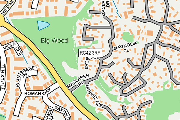 RG42 3RF map - OS OpenMap – Local (Ordnance Survey)