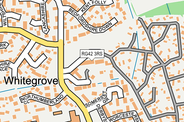 RG42 3RS map - OS OpenMap – Local (Ordnance Survey)