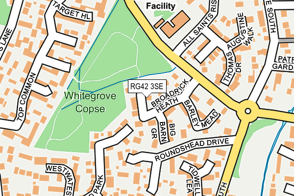 RG42 3SE map - OS OpenMap – Local (Ordnance Survey)