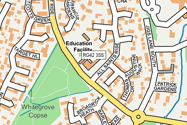 RG42 3SS map - OS OpenMap – Local (Ordnance Survey)