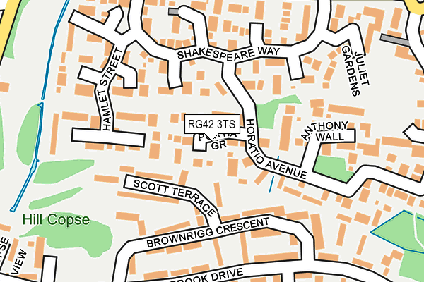 RG42 3TS map - OS OpenMap – Local (Ordnance Survey)