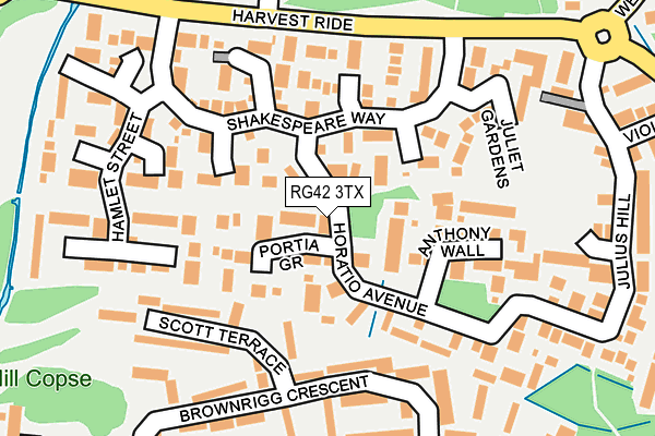 RG42 3TX map - OS OpenMap – Local (Ordnance Survey)