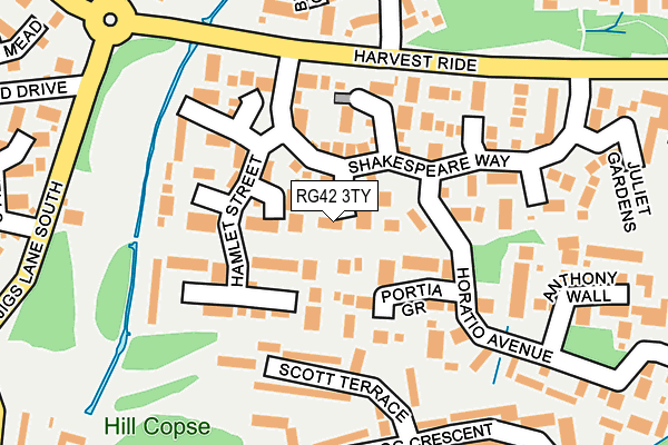 RG42 3TY map - OS OpenMap – Local (Ordnance Survey)