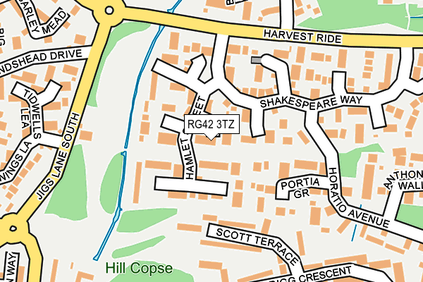 RG42 3TZ map - OS OpenMap – Local (Ordnance Survey)