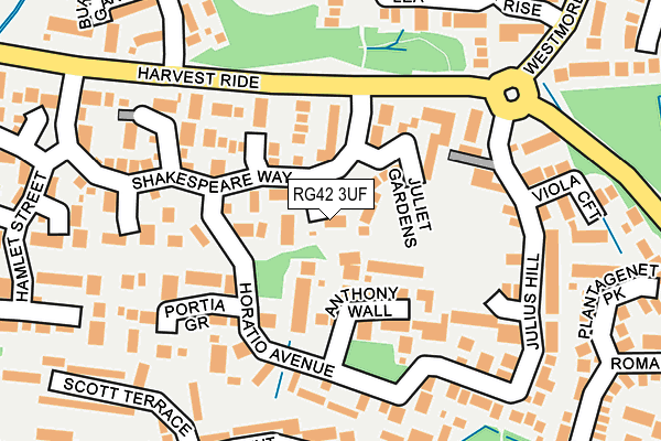 RG42 3UF map - OS OpenMap – Local (Ordnance Survey)